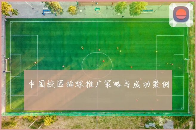 中国校园排球推广策略与成功案例